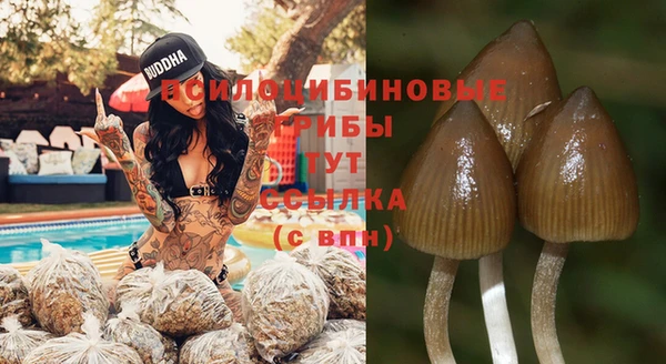 марки nbome Алексеевка