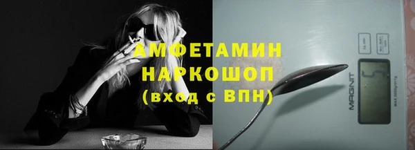ешки Алексин
