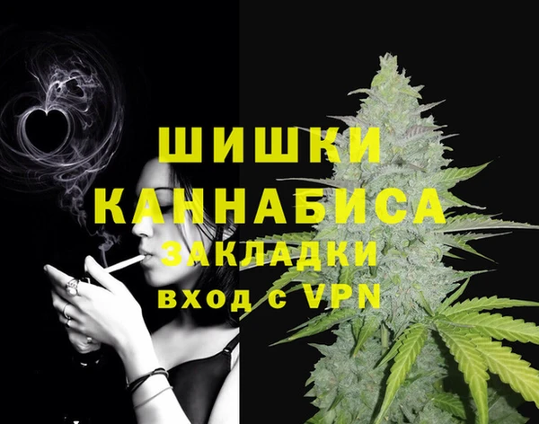 стафф Алзамай