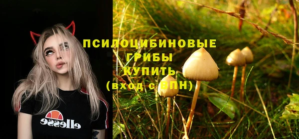 марки nbome Алексеевка