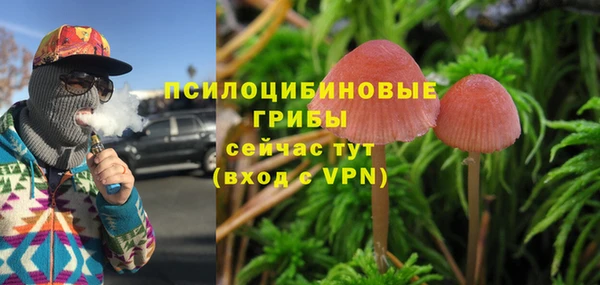 стафф Алзамай