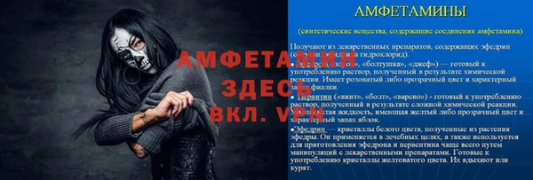 ешки Алексин