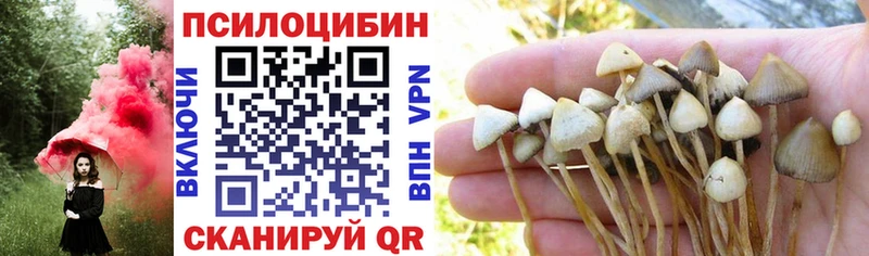 продажа наркотиков  Салехард  Псилоцибиновые грибы мицелий 