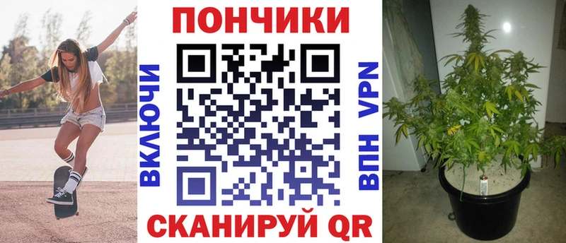 купить наркотик  Салехард  МАРИХУАНА план 